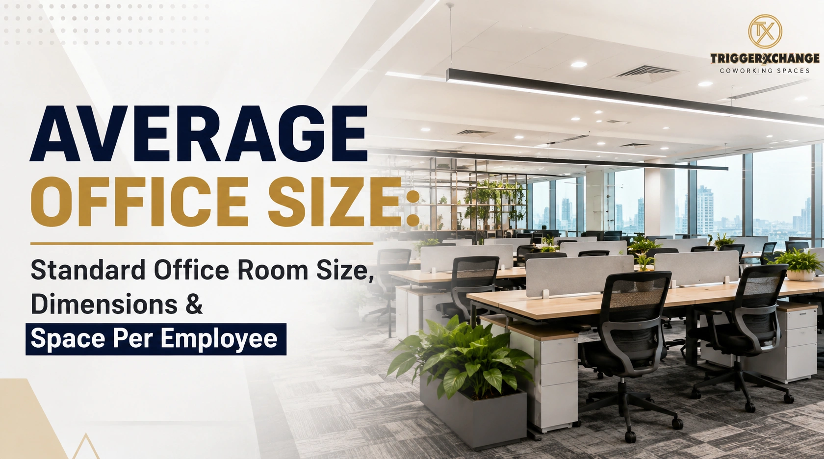 Average Office Size: Standard Office Room Size, Dimensions & Space Per Employee